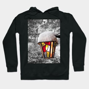 Lamplight Hoodie